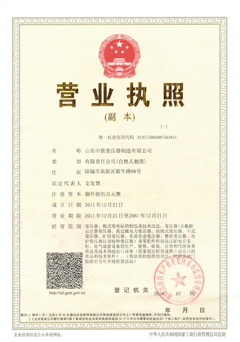 肥西山东中能变压器制造有限公司营业执照